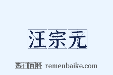 汪宗元是什么意思的图片